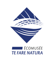 Logo TFN