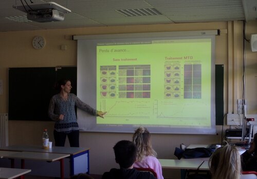 Conférences d'universitaires