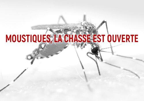 La suppression physique des gîtes à moustiques est une alternative respectueuse de l'environnement 