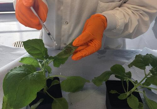 Pharma Factory - an EU H2020 funded project