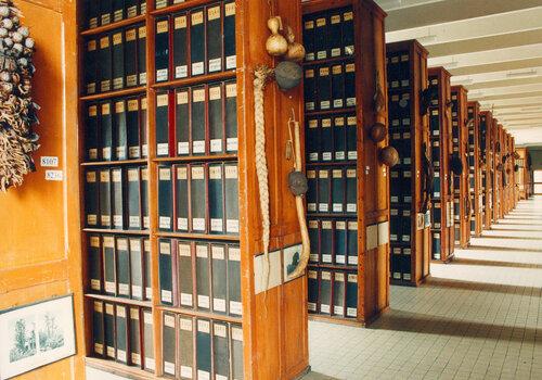 Une vue de la collection Bonaparte dans l'herbier de l'UCB Lyon 1