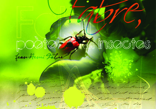 Exposition Fabre Poete Des Insectes Fete De La Science