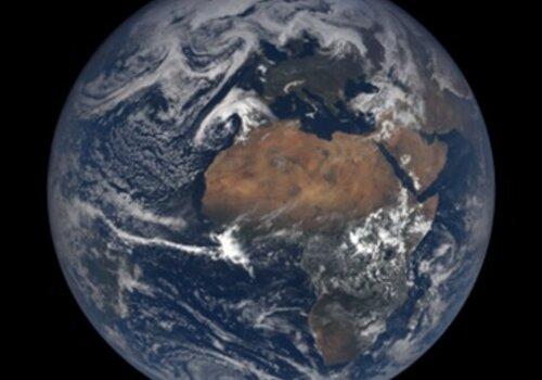 Terre Terre