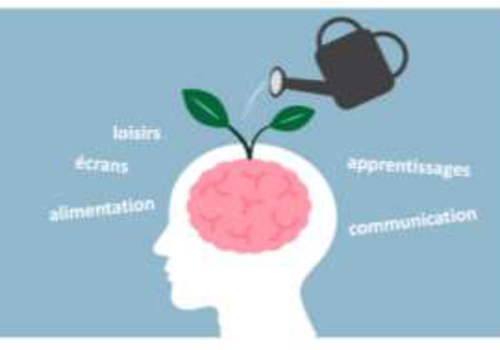 En rythme, le cerveau En rythme, le cerveau