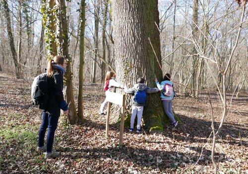 enfants qui enlacent un arbre dans la forêt de Holzxihr avec Delphine Etienne