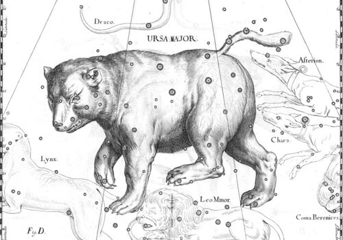 Illustration de la constellation de la Grande Ourse