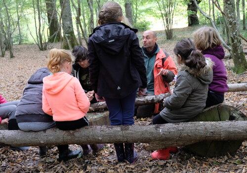 Immersion en forêt : de jeunes élèves posent leurs questions aux chercheurs