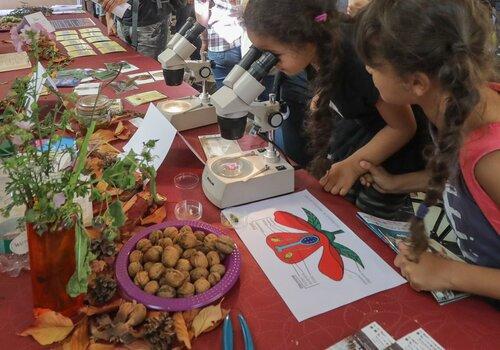 Stand de la Fête de la science à Colmar