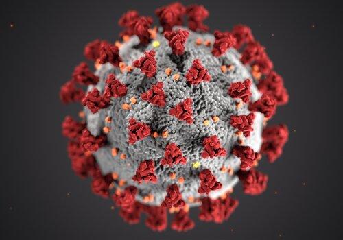 Pandémies et lanceurs d'alerte Virus du Covid-19