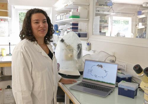 Dans un laboratoire de recherche sur les parasites