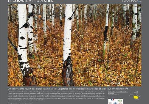 Baie de Somme expostion YAB la Forêt