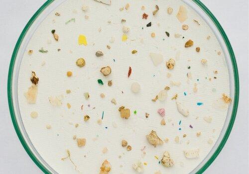 Diversité des microplastiques dans l'océan. Une lutte engagée contre les microplastiques dans l'océan.