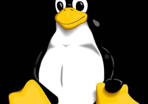TUX Tux, symbole de linux