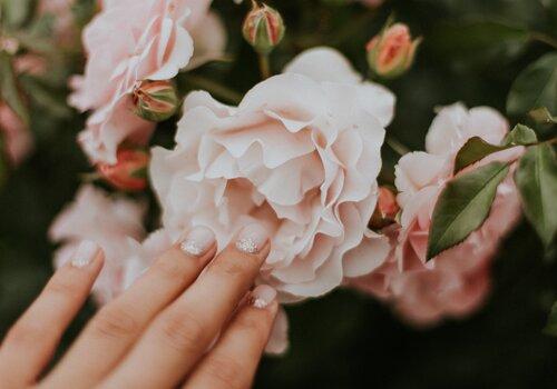 Toucher une rose, la sentir, admirer sa beauté... Même ses pétales peuvent être consommés ! 