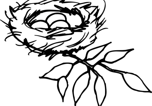 Dessin d'un nid d'oiseau