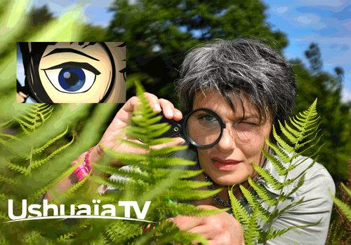 vignette ushuaïa tv curieuse de nature