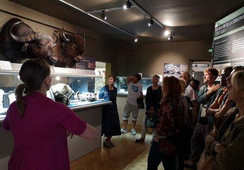 Visite guidée dans une salle de l'exposition Visite guidée dans la salle des espèces africaines victimes de prélèvement intensif