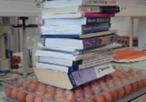 Entasser des livres sur des œufs