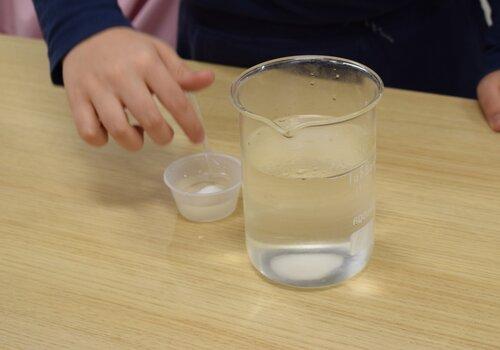 Photographie de deux récipients transparents remplis d'eau dans une expérience de dissolution de sucre issu de plantes.