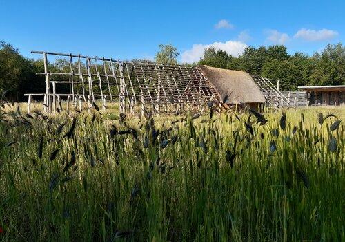 La maison danubienne et les champs néolithiques de l'archéosite La maison danubienne et les champs néolithiques de l'archéosite