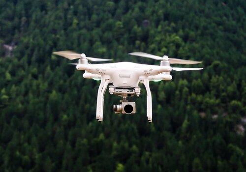 drone en survol d'une foret