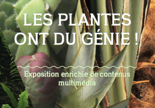 Affiche de présentation de l'exposition. Titre blanc sur fond de photo de plantes.