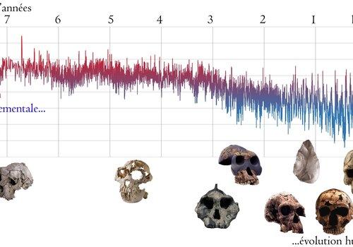 Évolution parallèle entre température globale et diversité humaine (de Toumaï à Homo sapiens), à l'échelle des millions d'années. Serions-nous nés d'un refroidissement climatique ?