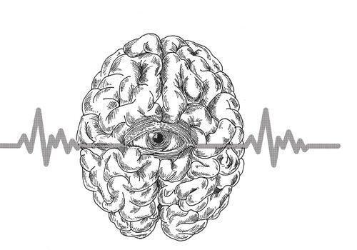illustration d'un cerveau illustration d'un cerveau