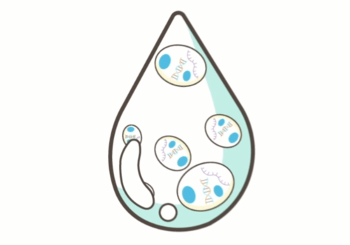 un exosome schéma Exosomes