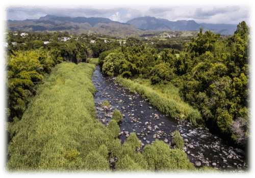 Vue aérienne du lit de la Rivière des Marsouins