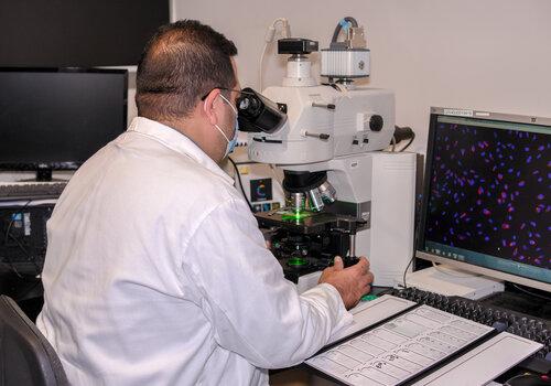 observation de résultats de l'efficacité virucide de molécule de plantes au pôle infectieux des maladies insulaires tropicales