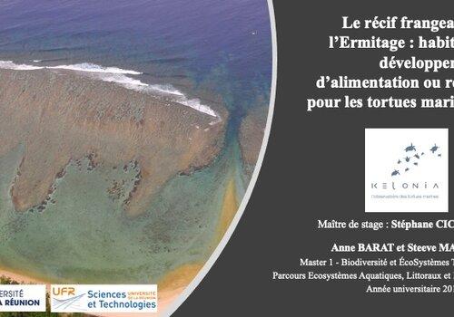 SUivez cette conference sur le facebook keloniaRMR Conférence Le récif frangeant de l'Ermitage & Les tortues marines
