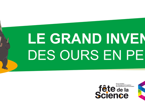le grand inventaire des ours en peluche visuel - le grand inventaire des ours en peluche