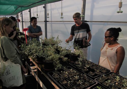 Visite d'une serre de production de plantes halophytes Visite d'une serre de production de plantes halophytes