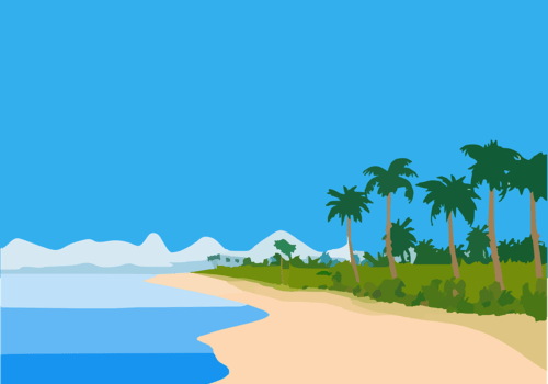 plage tropicale 