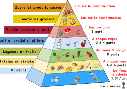 Pyramide alimentaire