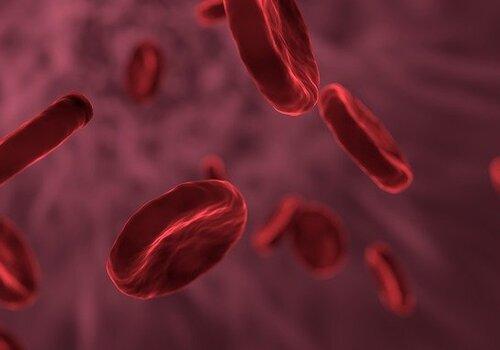 globules rouges globules rouges