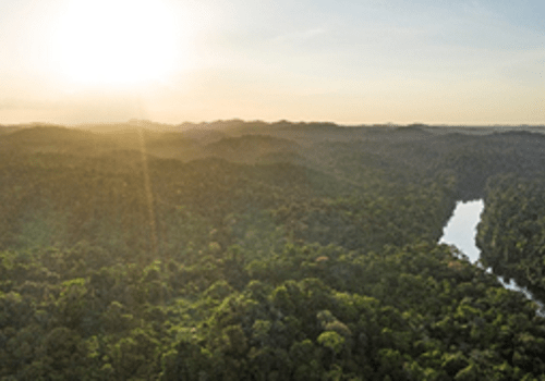 vue d'ensemble du fleuve Sinnamary, au lever du soleil