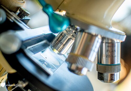 vue rapprochée des objectifs d'un microscope