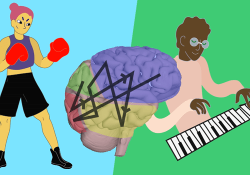illustration de l'animation Le Cerebrum.LCB Construction de réseaux de neurones par la pratique de la boxe et du piano