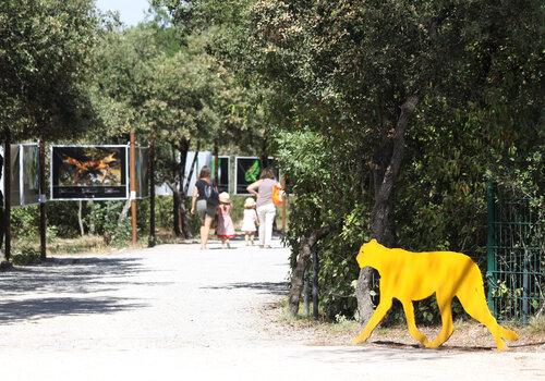 Vu d'une allée du parc De Lunaret, avec une silhouette de guépard qui invite à la promenade 