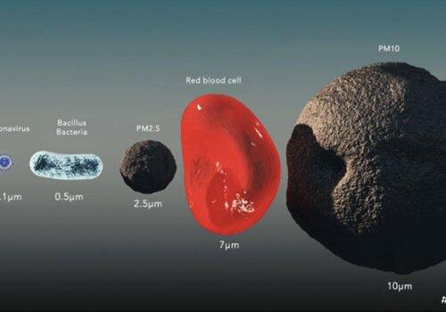 La taille d’un virion Covid-19 par rapport au PM10-2,5 mesurée au microscope électronique La taille d’un virion Covid-19 par rapport au PM10-2,5 mesurée au microscope électronique