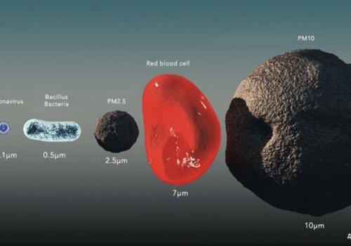 La taille d’un virion Covid-19 par rapport au PM10-2,5 mesurée au microscope électronique 