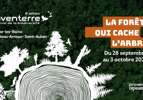 La forêt qui cache l'arbre
