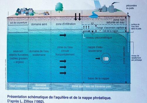 Schéma de l'aquifère et de la nappe phréatique. D'après L. Zilliox (1992)