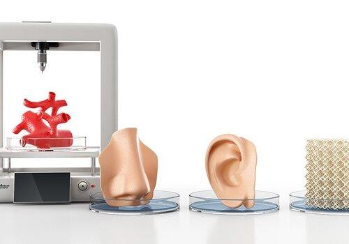 Impression 3D d'organes pour la médecine réparatrice