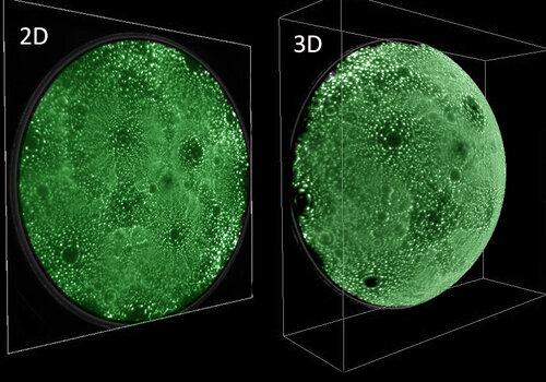 Atomes à la surface d'un métal Observation d'atomes au microscope