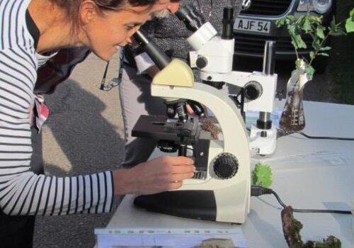 De belles découvertes à la fête de la science de Bouxurulles ! les microscopes sont mis à disposition des curieux, avec l'intervention et explication du référent scientifique