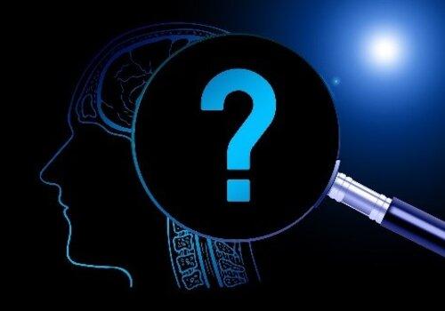 « Ça va pas la tête ! » Ou : lorsque le cerveau nous joue des tours « Ça va pas la tête ! » Ou « Lorsque le cerveau nous joue des tours »