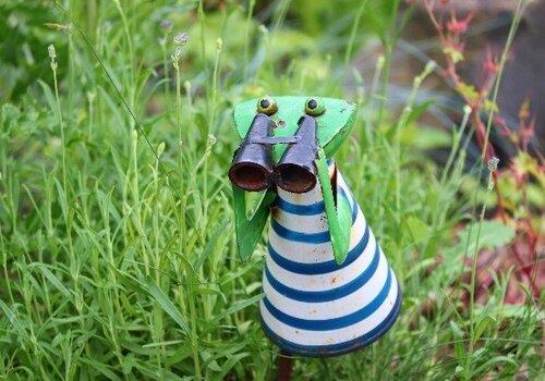 Phil’Osons dans la Nature ! Phil’Osons dans la Nature !